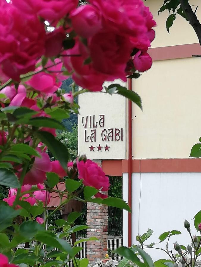 Hotel La Gabi Azuga Exteriér fotografie