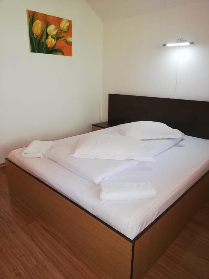 Hotel La Gabi Azuga Exteriér fotografie