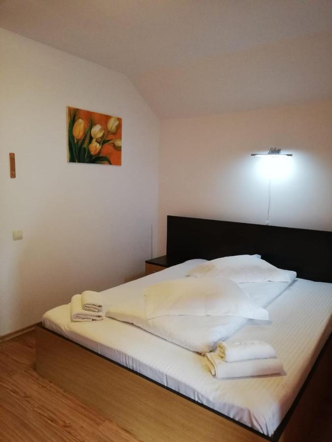 Hotel La Gabi Azuga Exteriér fotografie